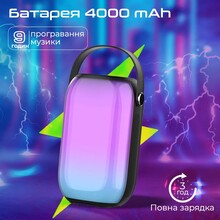 Портативная акустика PROMATE Spectro-20 20W Black (spectro-20)