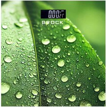 Львов - Весы напольные BROCK (BS 004)